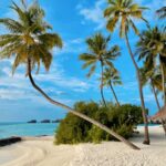 Histoire de l'île Maurice : des origines à aujourd'hui